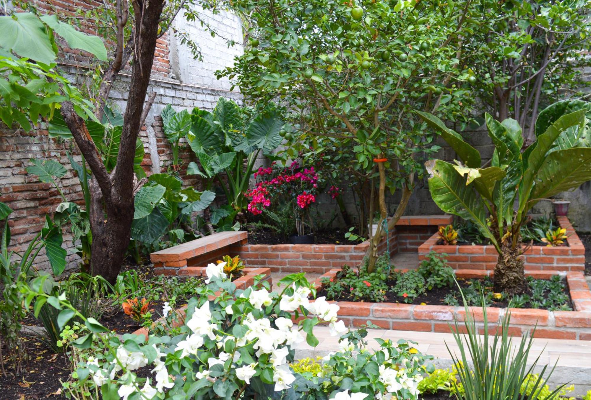 מלון San Cristóbal de Las Casas Capital O Casa Rotter מראה חיצוני תמונה